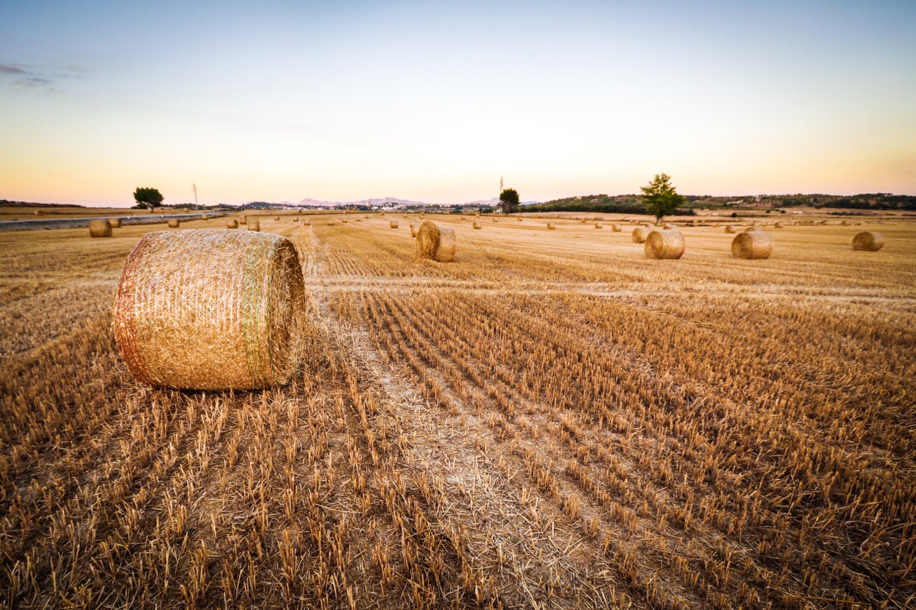Round and square bales